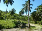 Commercial/farm land For Sale in Hope Bay, Portland Jamaica | [1]