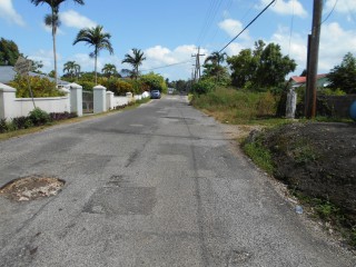 Residential lot For Sale in Mandeville, Manchester Jamaica | [12]