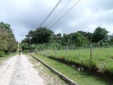 Residential lot For Sale in Spur Tree, Manchester Jamaica | [5]