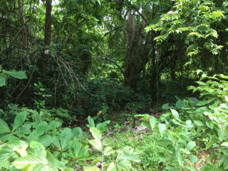 Residential lot For Sale in Fairy Hill, Portland Jamaica | [8]