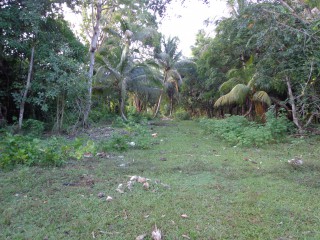 Residential lot For Sale in Orange Bay, Hanover Jamaica | [4]