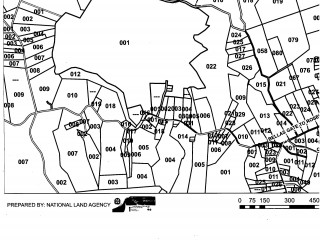 Land For Sale in Rosewell, Clarendon Jamaica | [9]