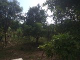 Residential lot For Sale in Danvers Pen, St. Thomas Jamaica | [1]