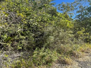 Residential lot For Sale in Red Hills, Kingston / St. Andrew Jamaica | [1]