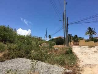 Residential lot For Sale in Off Sligoville Main Road, St. Catherine Jamaica | [2]