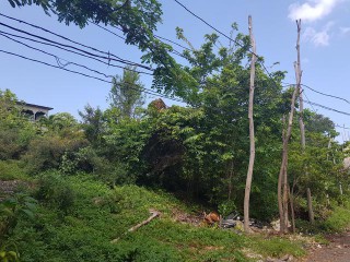  For Sale in Bluefields, Westmoreland Jamaica | [5]