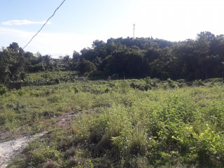 Residential lot For Sale in Longwood, St. Elizabeth Jamaica | [1]