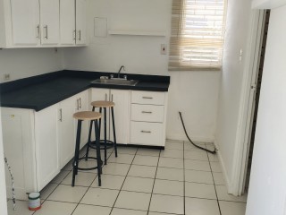 Apartment For Rent in Constant Spring, Kingston / St. Andrew Jamaica | [11]