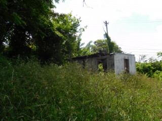  For Sale in Whitehall, St. Mary Jamaica | [1]