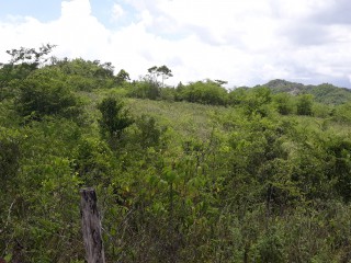 Commercial/farm land For Sale in New Market, St. Elizabeth Jamaica | [2]