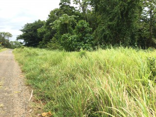 Residential lot For Sale in Fairy Hill, Portland Jamaica | [1]