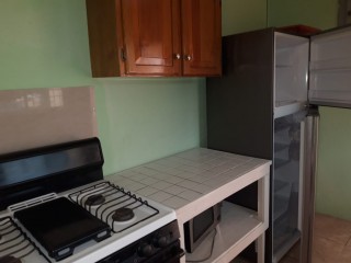 Apartment For Rent in Liguanea, Kingston / St. Andrew Jamaica | [7]