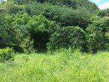 Commercial/farm land For Sale in Cambridge, St. James Jamaica | [7]