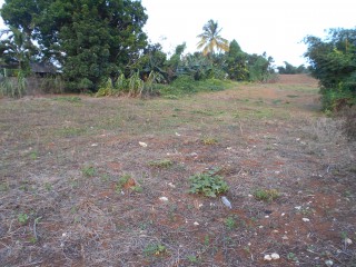 Residential lot For Sale in Mandeville, Manchester Jamaica | [9]