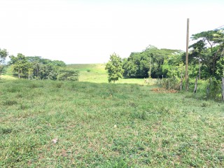 Residential lot For Sale in Linstead, St. Catherine Jamaica | [8]