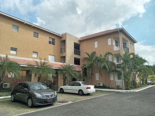 Apartment For Rent in Kingston 6, Kingston / St. Andrew Jamaica | [13]