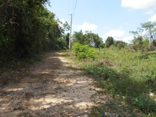 Land For Sale in Rosewell, Clarendon, Jamaica