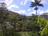 Commercial/farm land For Sale in Donnington, St. Mary Jamaica | [10]