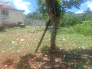 Commercial/farm land For Sale in Newport PO, Manchester Jamaica | [5]