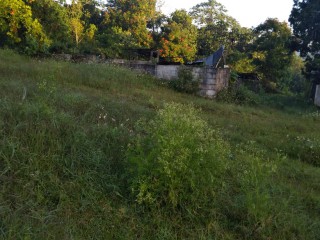 Commercial/farm land For Rent in Lydford St Ann, St. Ann Jamaica | [2]