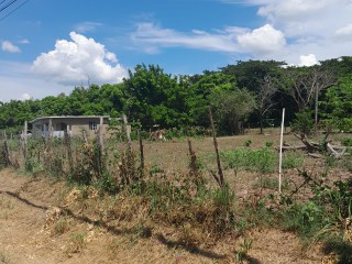 Residential lot For Sale in The Vineyards, St. Catherine Jamaica | [7]