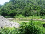 Commercial/farm land For Sale in Broadgate, St. Mary Jamaica | [8]