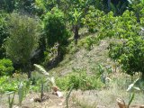 Residential lot For Sale in Grange Hill aka Long Road, Portland Jamaica | [5]