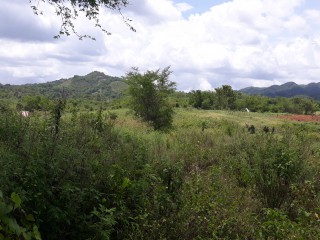 Commercial/farm land For Sale in New Market, St. Elizabeth Jamaica | [4]