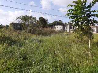 House For Sale in Mandeville, Manchester Jamaica | [10]