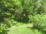 Residential lot For Sale in Anchovy, St. James Jamaica | [2]