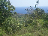 Residential lot For Sale in Herman Hill, St. Ann Jamaica | [4]