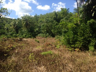 Commercial/farm land For Sale in Port Antonio, Portland Jamaica | [8]