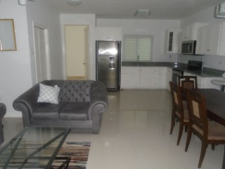 Apartment For Rent in New Kingston, Kingston / St. Andrew Jamaica | [4]