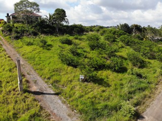 Residential lot For Sale in Mandeville, Manchester Jamaica | [8]