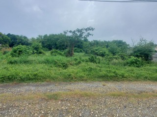 Land For Sale in Prospect, St. Thomas, Jamaica