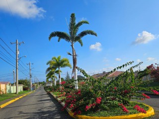 House For Rent in Presidential Estate Old Harbour, St. Catherine Jamaica | [3]