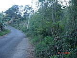 Residential lot For Sale in Bois Content, Clarendon Jamaica | [2]