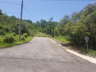 Residential lot For Sale in MOORLANDS, Manchester Jamaica | [1]