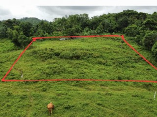 Residential lot For Sale in Oxford Point Hill, St. Catherine Jamaica | [1]