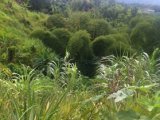 Residential lot For Sale in Lawrence Tavern, Kingston / St. Andrew Jamaica | [2]