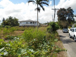 Residential lot For Sale in Mandeville, Manchester Jamaica | [13]