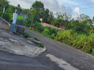 Land For Sale in Cedar Gardens and Waltham Road 1 Acre Lot, Manchester Jamaica | [9]