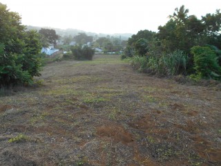 Residential lot For Sale in Mandeville, Manchester Jamaica | [10]