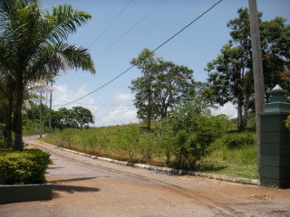 Residential lot For Sale in Albion Estates, Manchester Jamaica | [1]