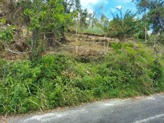 Land For Sale in Cedar Gardens and Waltham Road 1 Acre Lot, Manchester Jamaica | [6]