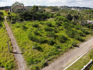 Residential lot For Sale in Mandeville, Manchester Jamaica | [5]