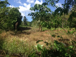 Commercial/farm land For Sale in Port Antonio, Portland Jamaica | [7]