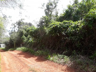 Residential lot For Sale in Cross Keys Manchester, Manchester Jamaica | [10]