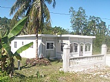 House For Sale in Port Antonio, Portland Jamaica | [5]