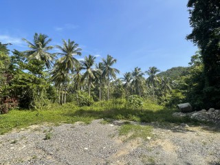 Commercial/farm land For Sale in Mullet Farm, Portland Jamaica | [7]